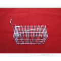 Live Live Catch Animal Cage Trap